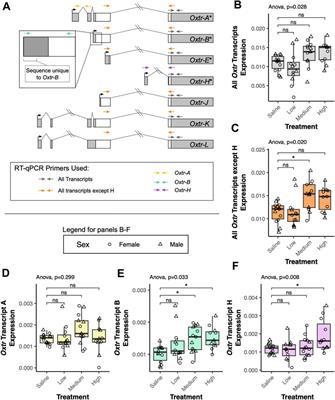 Transcriptional diversity of the oxytocin receptor in prairie voles: mechanistic implications for behavioral neuroscience and maternal physiology